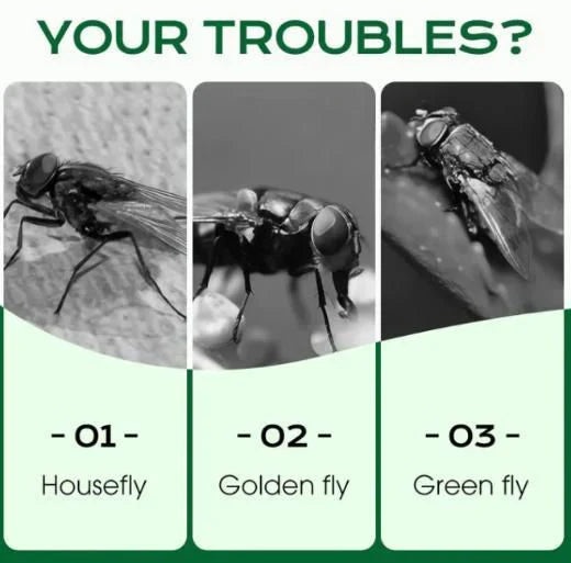 Multi-Scene Fast-Acting Fly Killer (Buy 1 Get 1 Free)